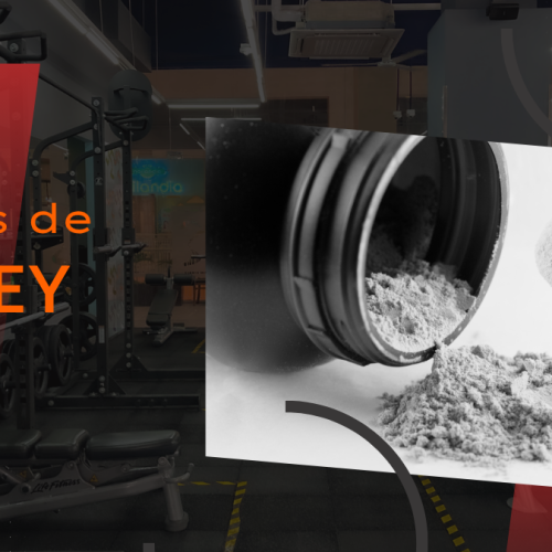 Whey protein: benefícios, para que serve e como tomar